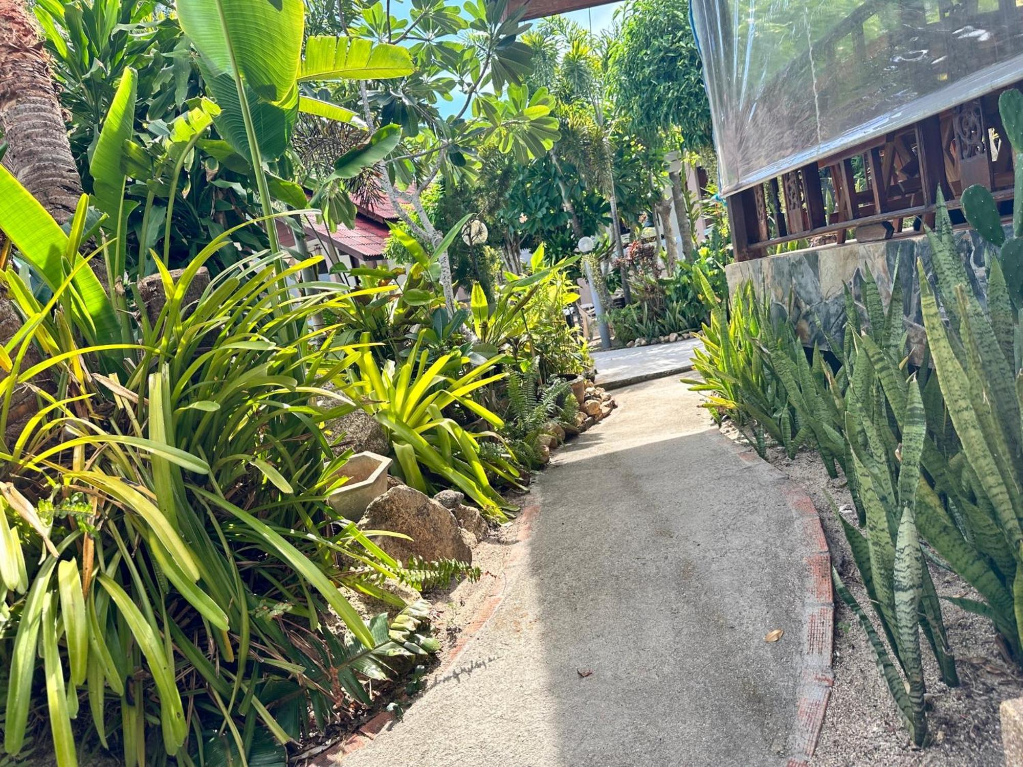 Phangan Lodge Baan Tai Εξωτερικό φωτογραφία